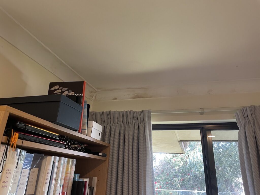 Rain water ceiling leak Mosman park