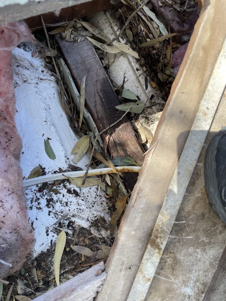 Leaves and debris build up causing rain Water Roof Leak in Mosman Park