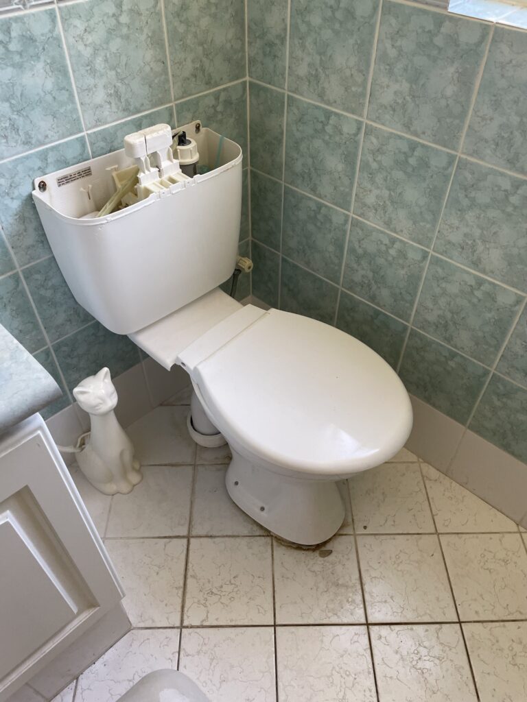 Toilet replacement