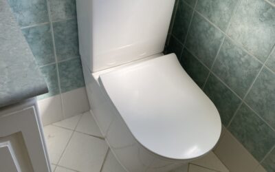 Mariginiup Toilet Replacement